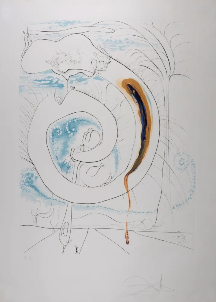 Litografia Dali - Le cercle viscéral du cosmos