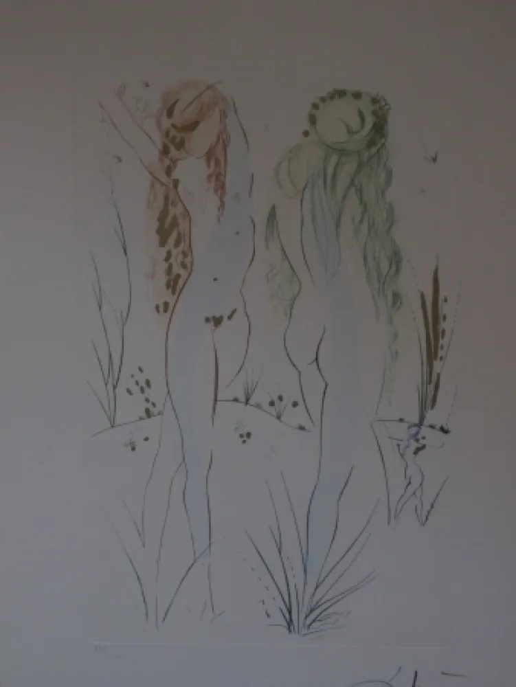 Água-Forte E Água-Tinta Dali - Sans titre