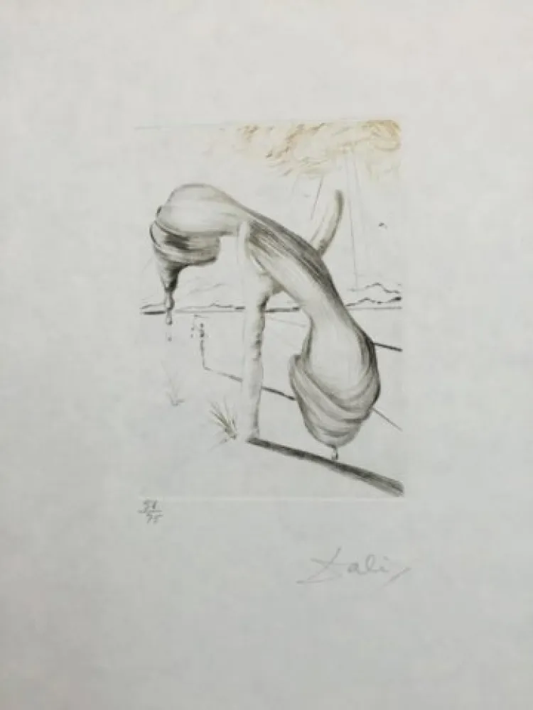 Ponta-Seca Dali - Teléphone Mou