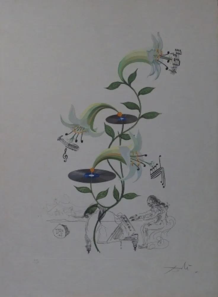 Gravura Dali - The Lily - Lilium Musicum