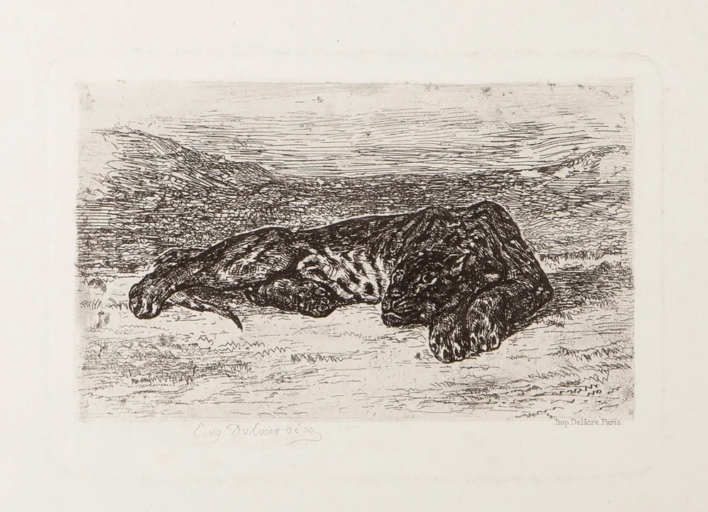 Gravura Delacroix - Tiger Sleeping in the Desert