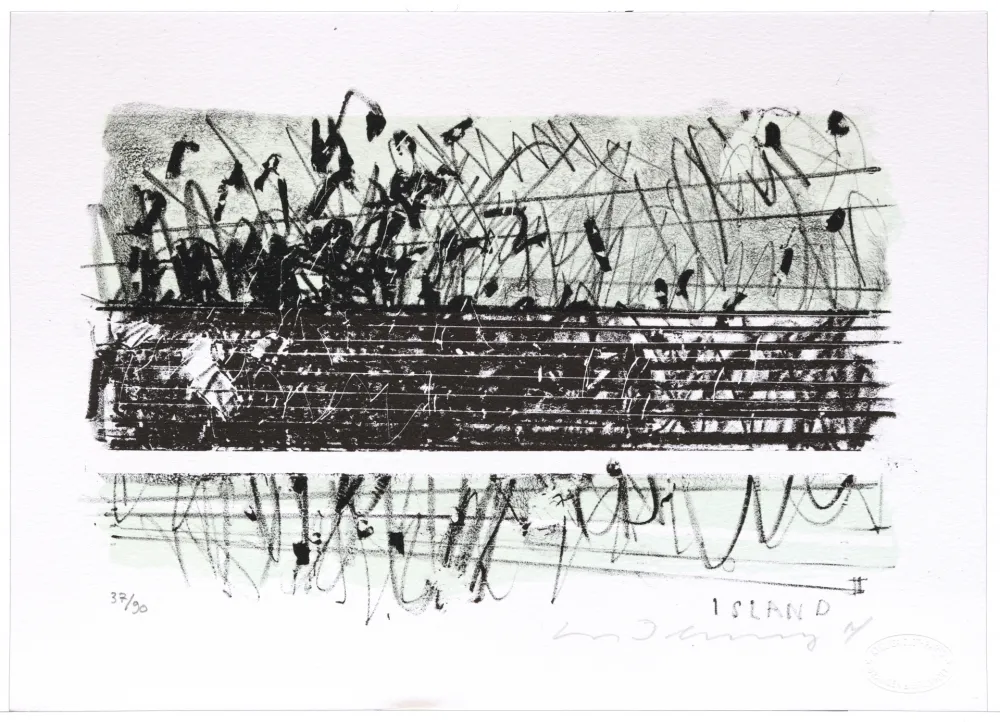 Litografia Denning - Islande II