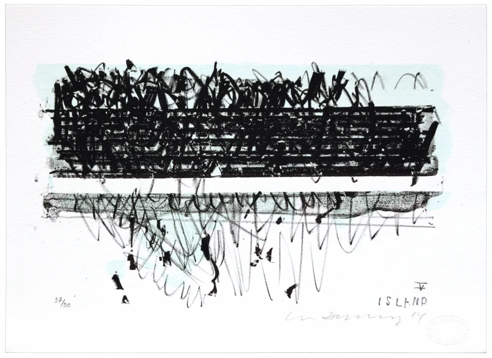 Litografia Denning - Islande V