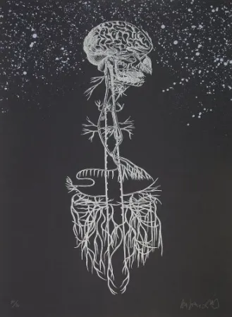 Litografia Diaz - Navegador