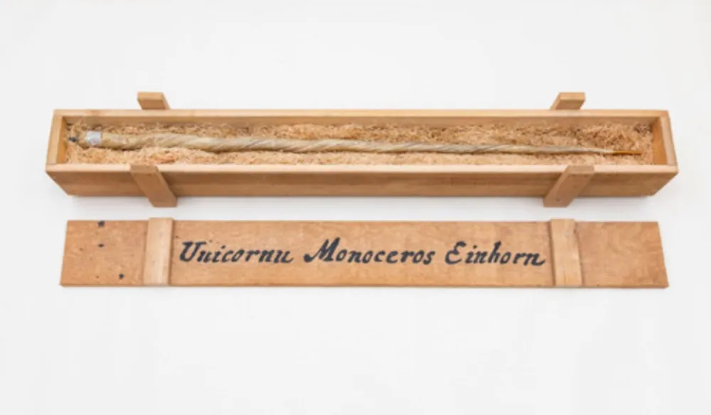 Múltiplo Dion - My Most Priceless Treasure (unicorn)