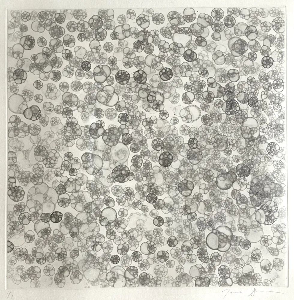 Monotipia Donovan - Bubble Drawing
