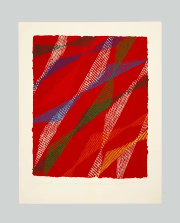 Serigrafia Dorazio - Composizione