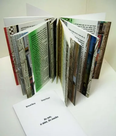 Livro Ilustrado Dorny - Des mots, et meme, des mouches 