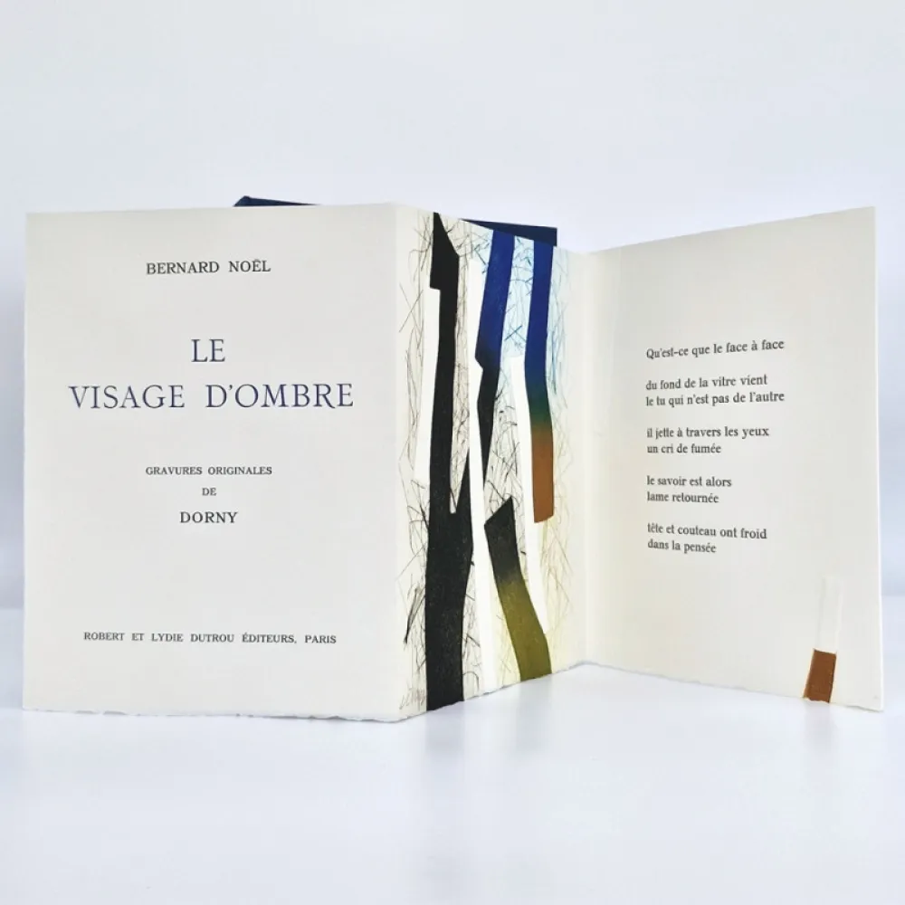 Livro Ilustrado Dorny - Le visage d'ombre