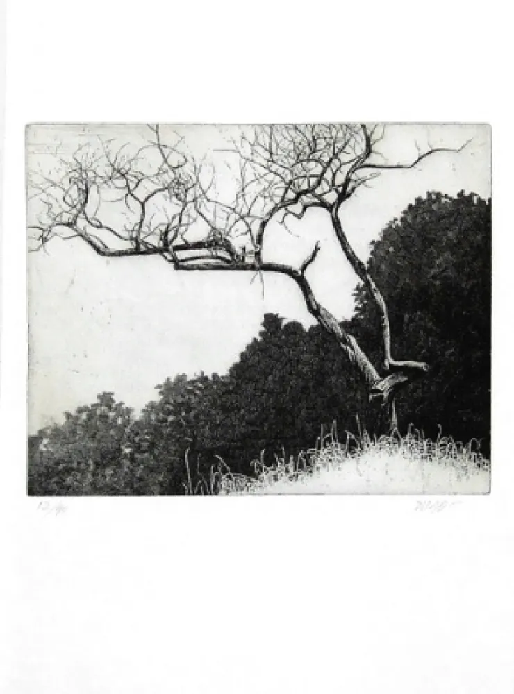 Livro Ilustrado Dugo - Poco prima del temporale