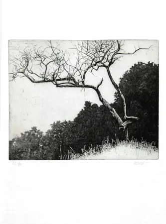 Livro Ilustrado Dugo - Poco prima del temporale