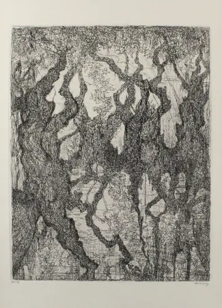 Água-Forte Eliasberg - Die Platanen des Pelion