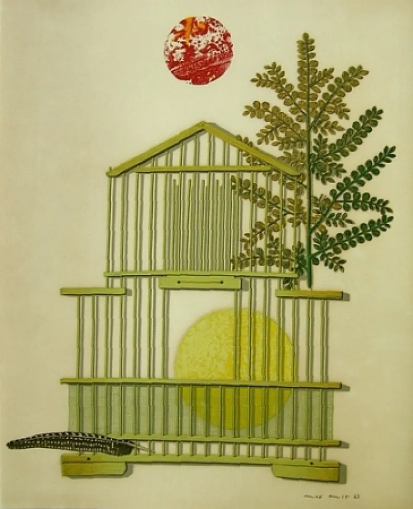 Livro Ilustrado Ernst - Dent prompte