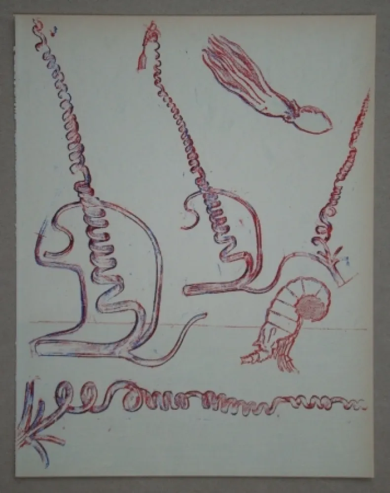 Litografia Ernst - Lithograph pour XXe Siècle