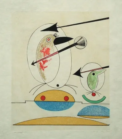 Água-Forte E Água-Tinta Ernst - Oiseaux en péril