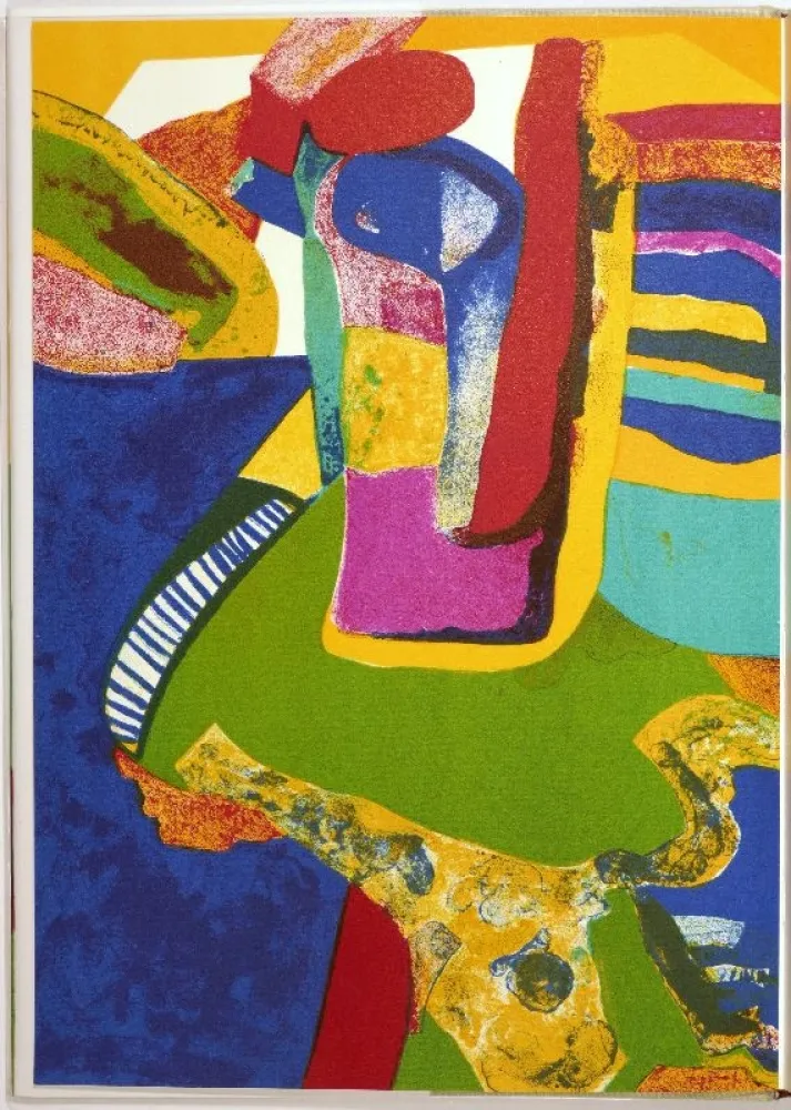 Livro Ilustrado Esteve - Maurice Estève. L’oeuvre gravé