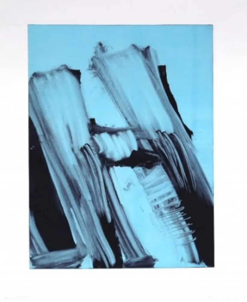 Monotipia Faldbakken - Hilux Variations 11