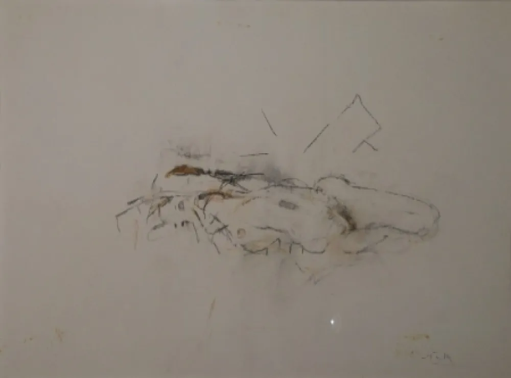 Monotipia Falk - (Akt)