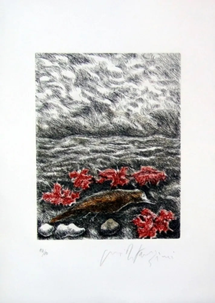 Livro Ilustrado Fazzini - Gabbiani