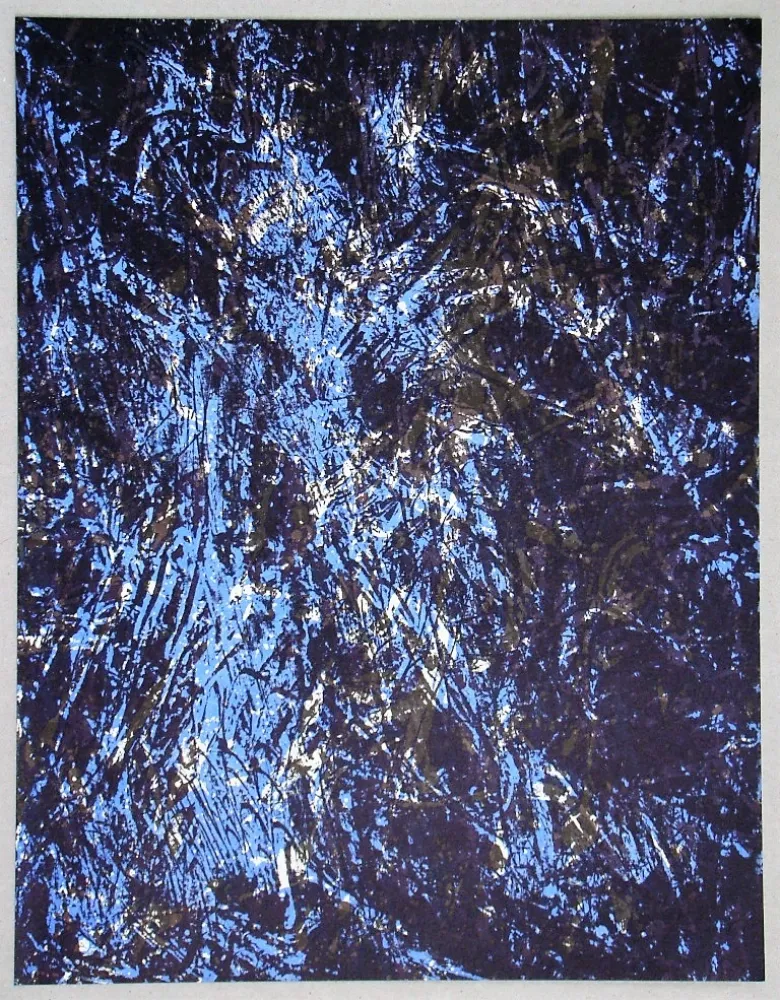 Litografia Fiedler - Lithograph pour XXe Siècle