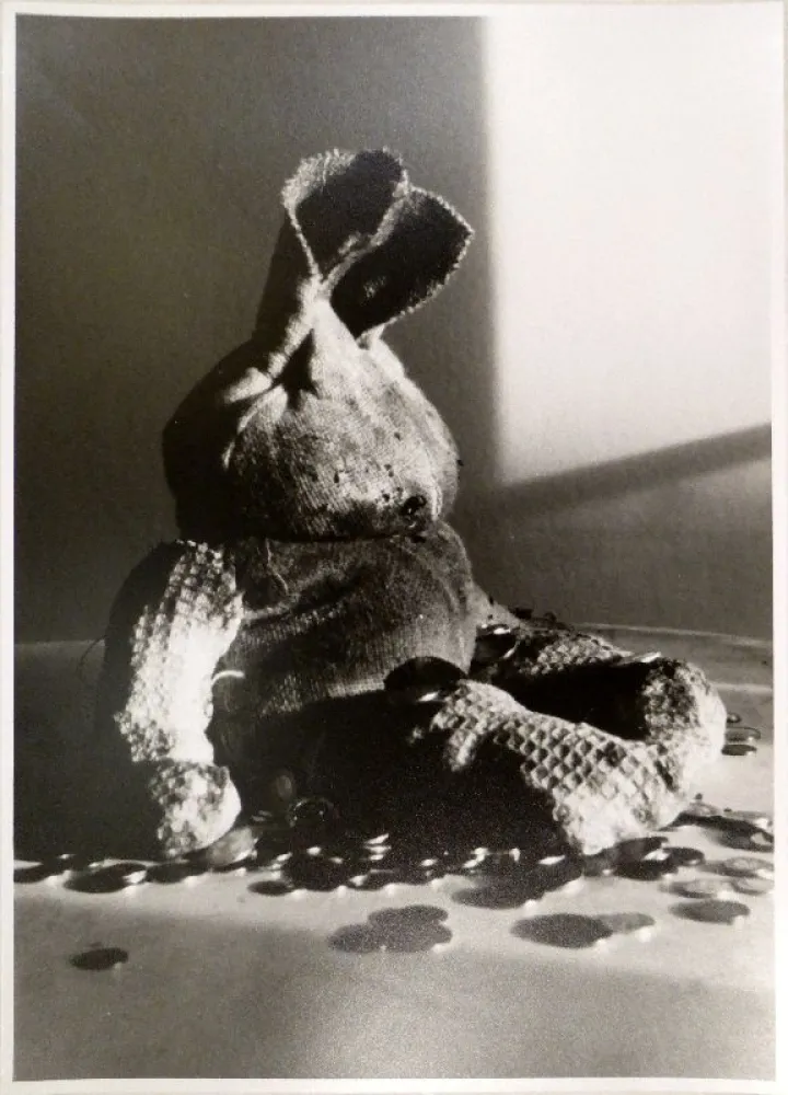 Fotografia Fischli - Lumpentiti / Rag Doll (Geldsack)