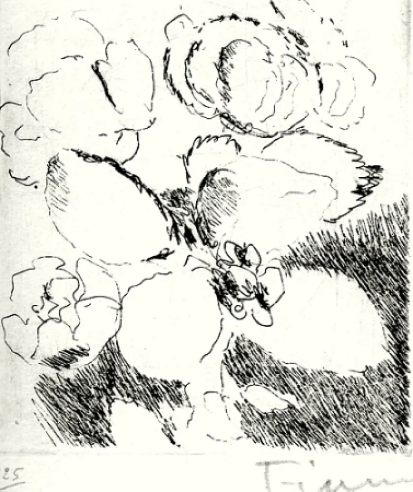 Livro Ilustrado Fiume - Dietro le carte