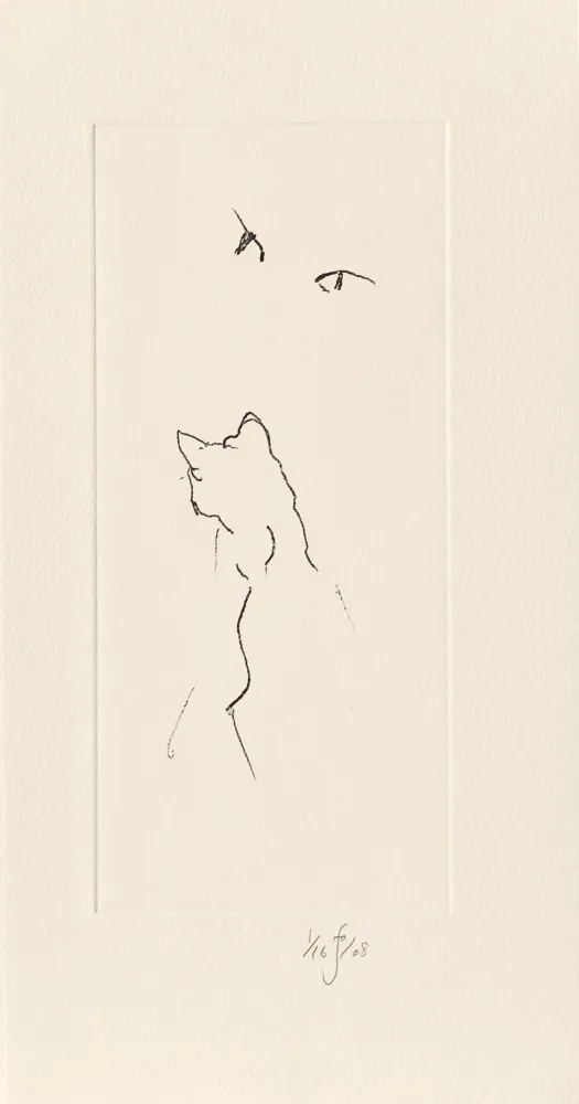 Gravura Flanagan - Panda