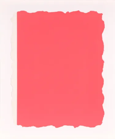Água-Tinta Flavin - Untitled, from Sequences - Pink