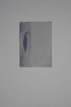 Gravura Fleischmann - Brunnenhell