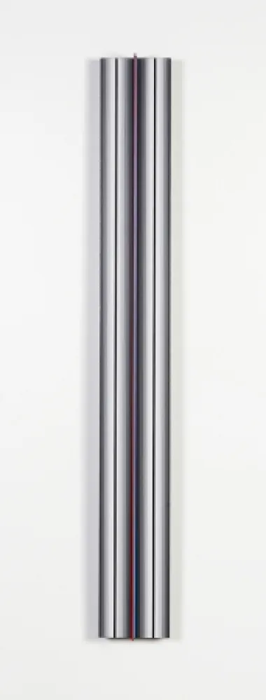 Múltiplo Flores - Prochromatique yc1