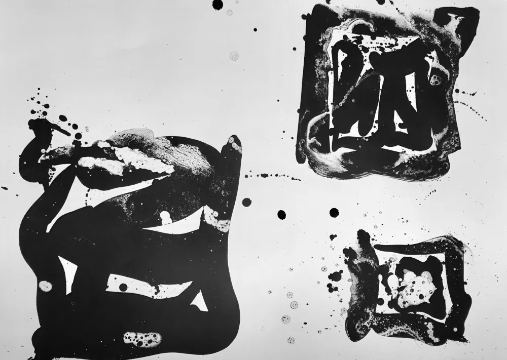 Litografia Francis - Third Stone