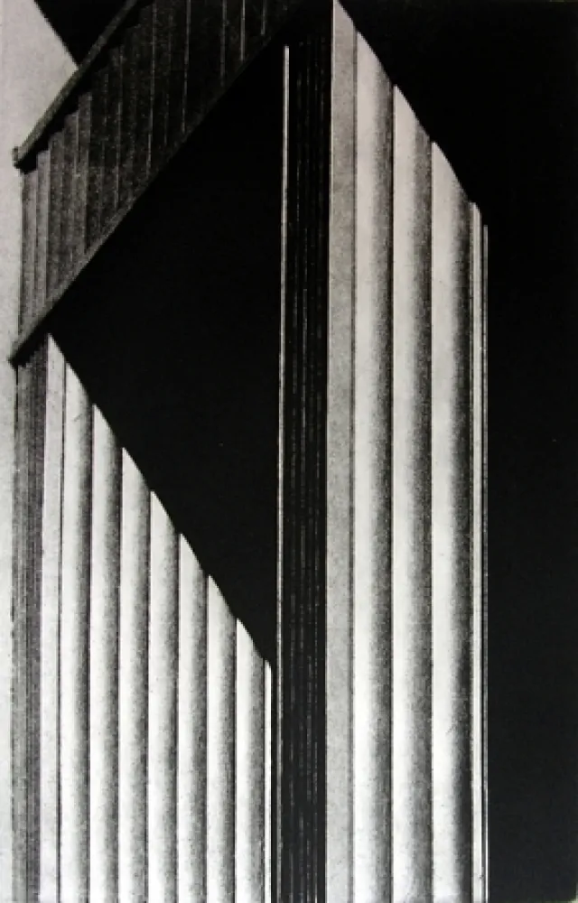 Livro Ilustrado Gibson - Metafora