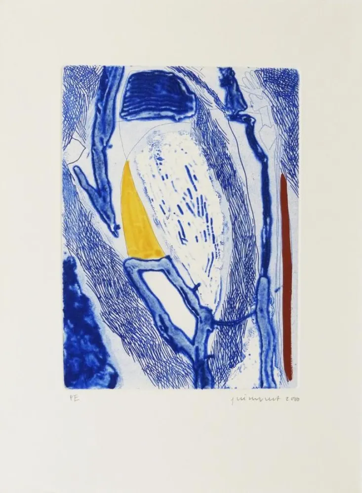 Água-Forte Guinovart - Blau 21