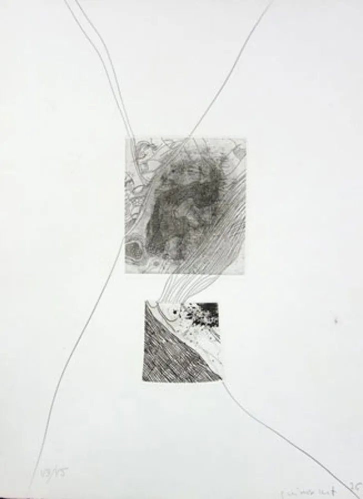 Água-Forte Guinovart - S/T