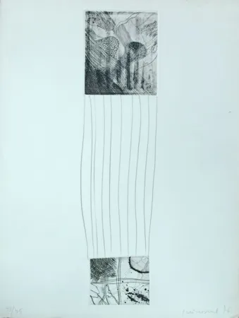 Água-Forte Guinovart - S/T