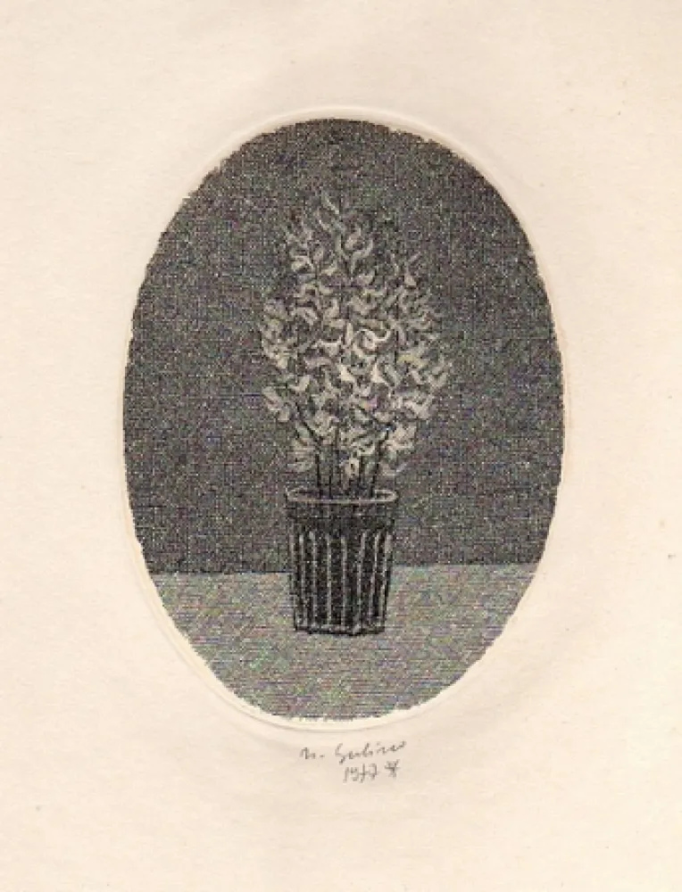 Livro Ilustrado Gulino - Canti