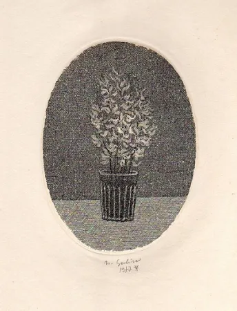 Livro Ilustrado Gulino - Canti