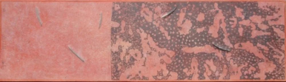 Água-Forte E Água-Tinta Herman - L' origine des origines