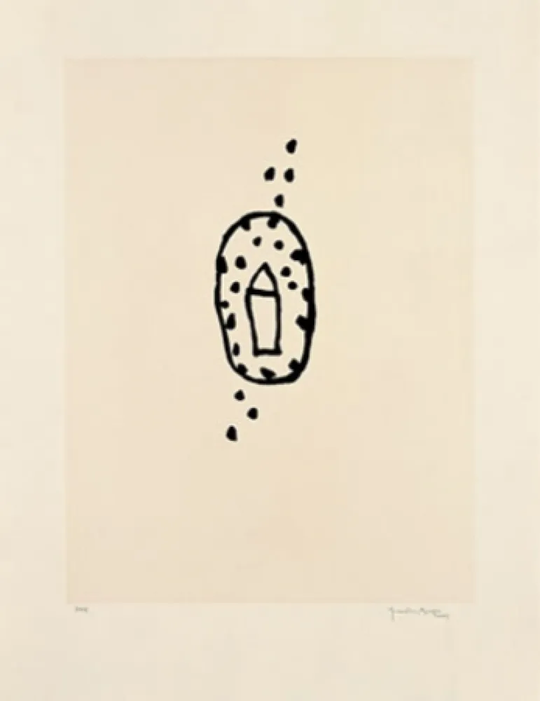 Água-Tinta Hernandez Pijuan - Casa amb jardí 2