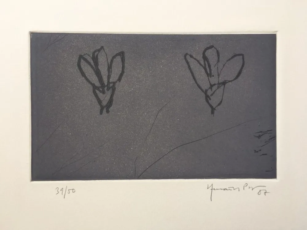 Gravura Hernandez Pijuan - Flores sobre gris