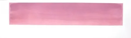 Gravura Hernandez Pijuan - PH-2