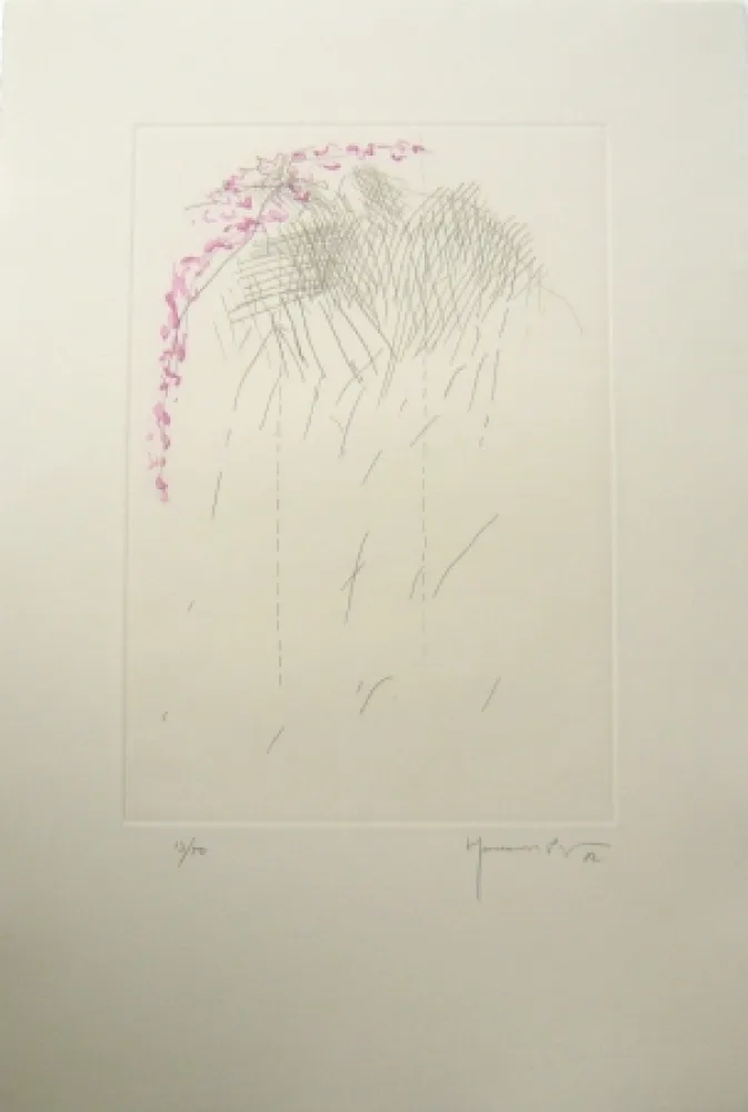 Gravura Hernandez Pijuan - PL1