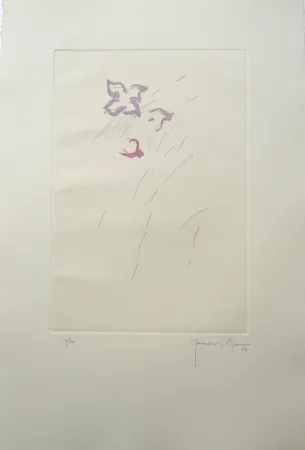 Gravura Hernandez Pijuan - PL4