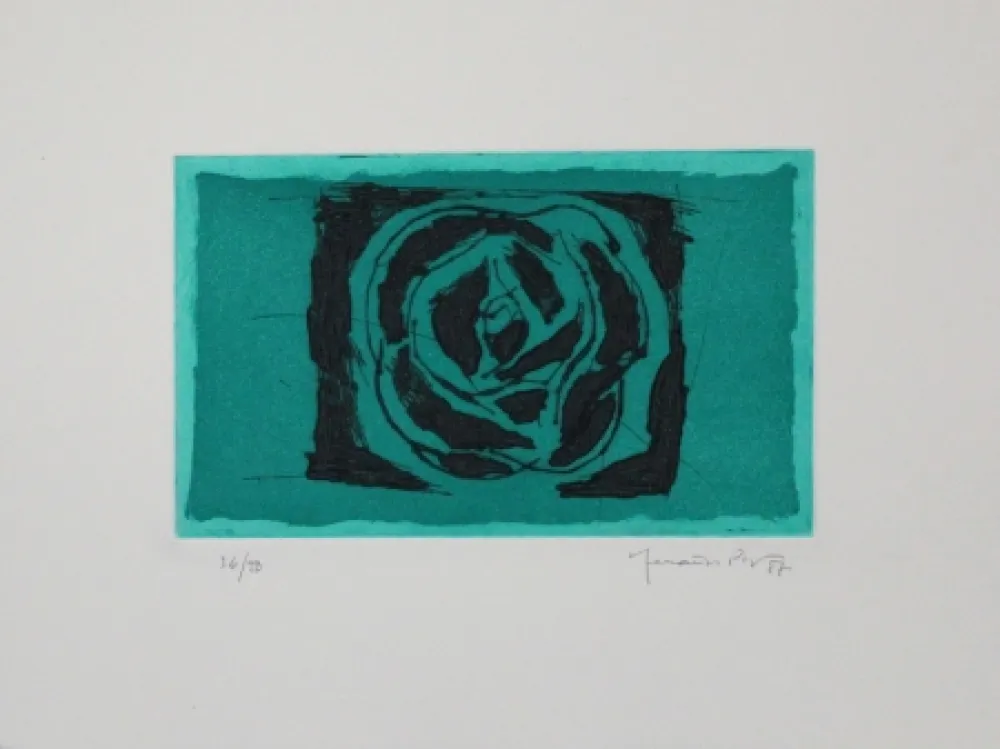 Água-Forte E Água-Tinta Hernandez Pijuan - Rosa verda / Green Rose