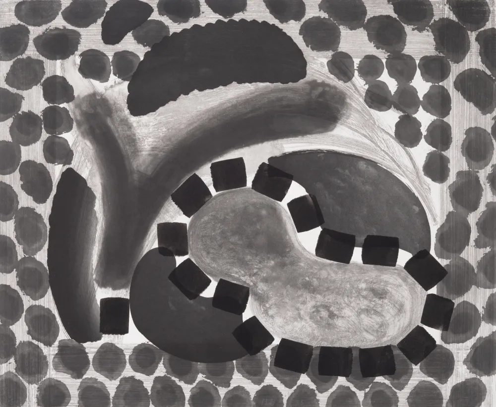 Múltiplo Hodgkin - David's Pool at Night