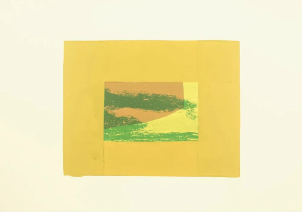 Serigrafia Hodgkin - Indian Views – Plate F