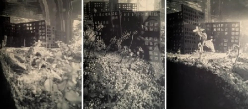 Múltiplo Iglesias - Aquarium II