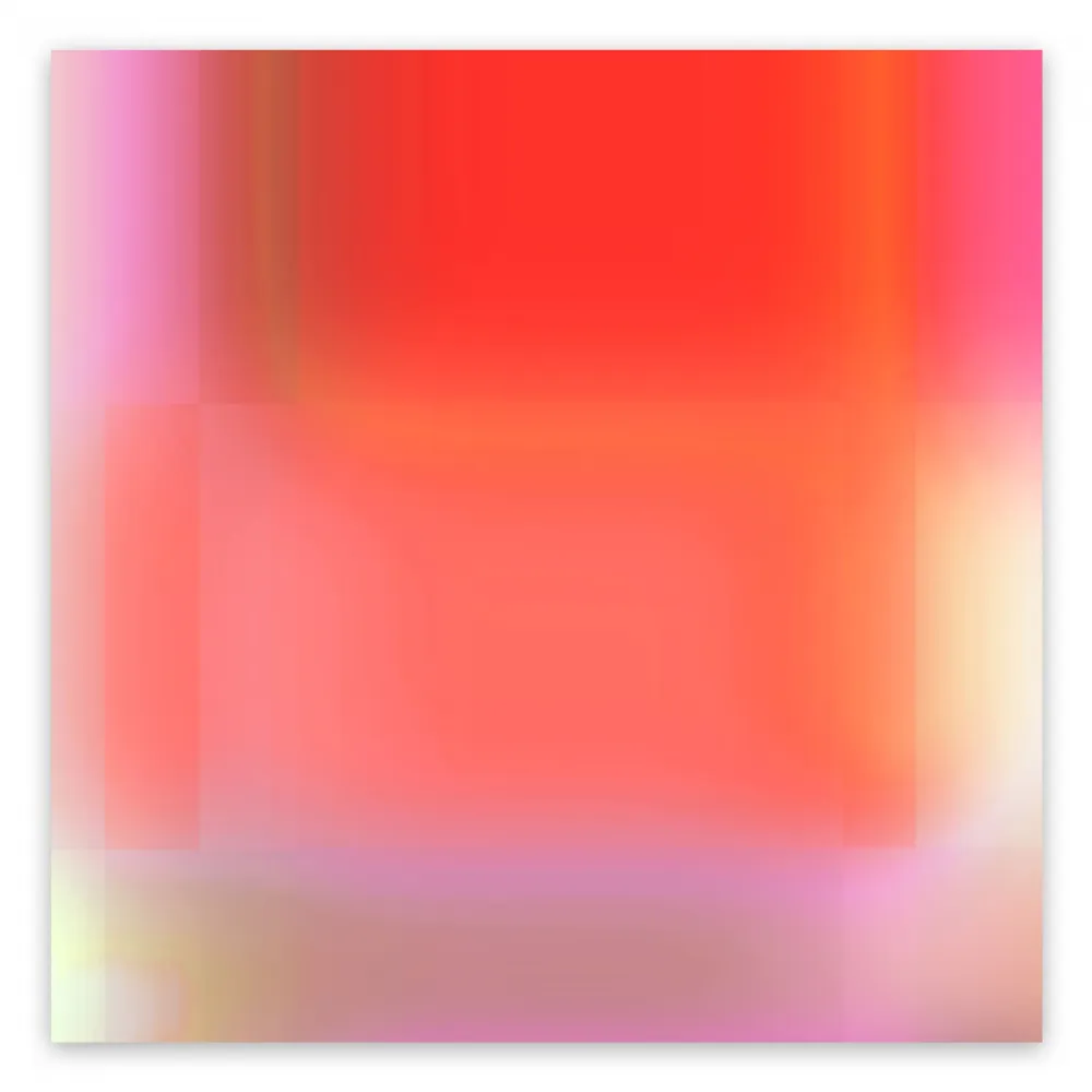 Fotografia Kane - EM2020-59