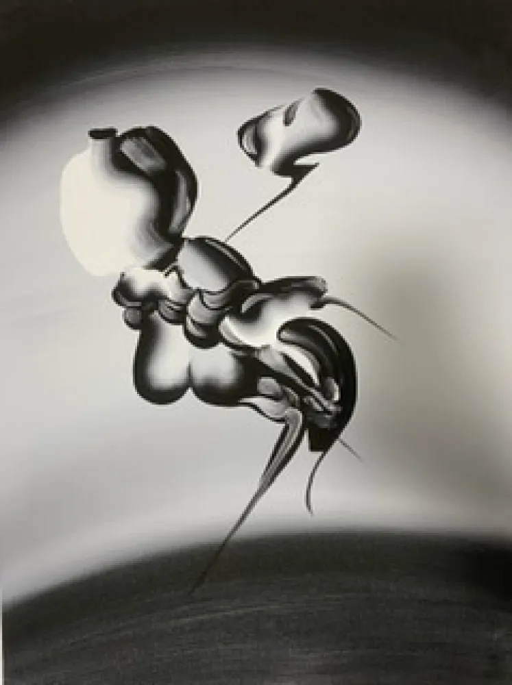 Talhe-Doce Kaws - No