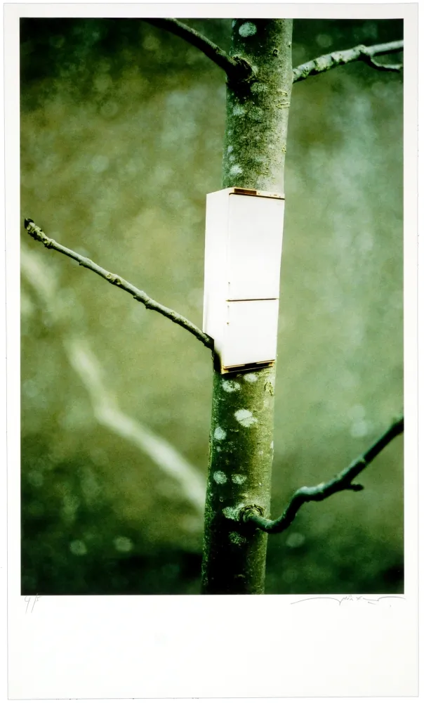 Gravura Digital Leick - Greffes et greffons I